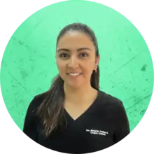 Endodoncia | Margarita Orellana Pizarro